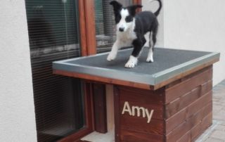 Zateplená psia búda - Amy